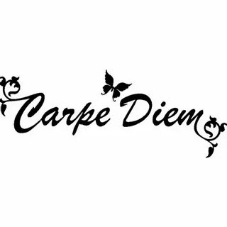 Vi carpe diem