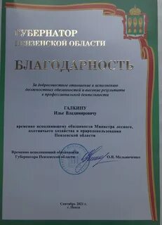 Добросовестное исполнение должностных обязанностей