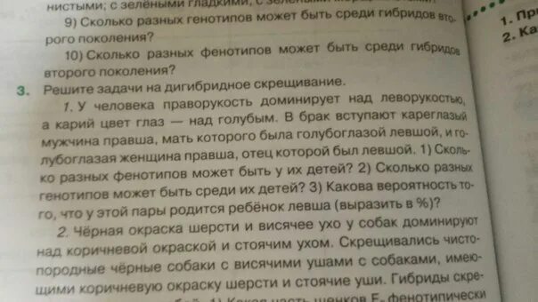 У человека праворукость доминирует над леворукостью кареглазость. Праворукость доминирует над леворукостью. черная окраска шерсти и висячее ухо у собак доминируют над коричневой. праворукость доминирует над леворукостью найти генотип родителей.