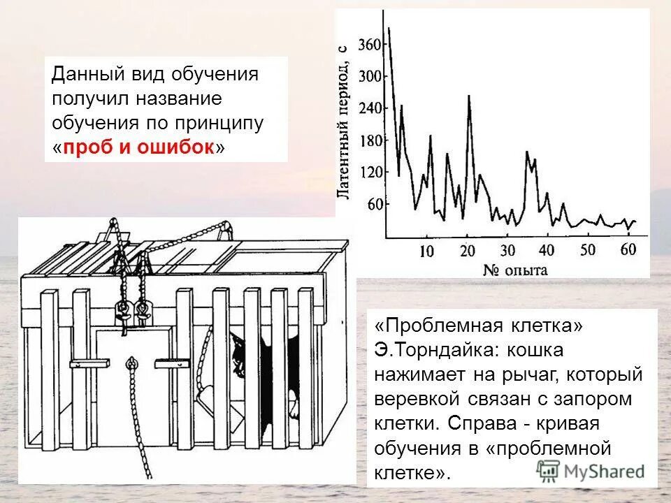 Научение методом проб и ошибок