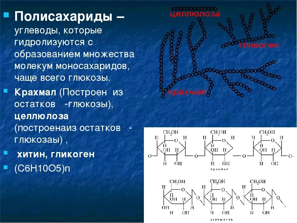 Глюкоза молекула полисахарида. Крахмал Глюкоза гликоген полисахарид. Полисахариды крахмал гликоген Целлюлоза хитин. Полисахариды Целлюлоза хитин. Крахмал гликоген Целлюлоза строение.