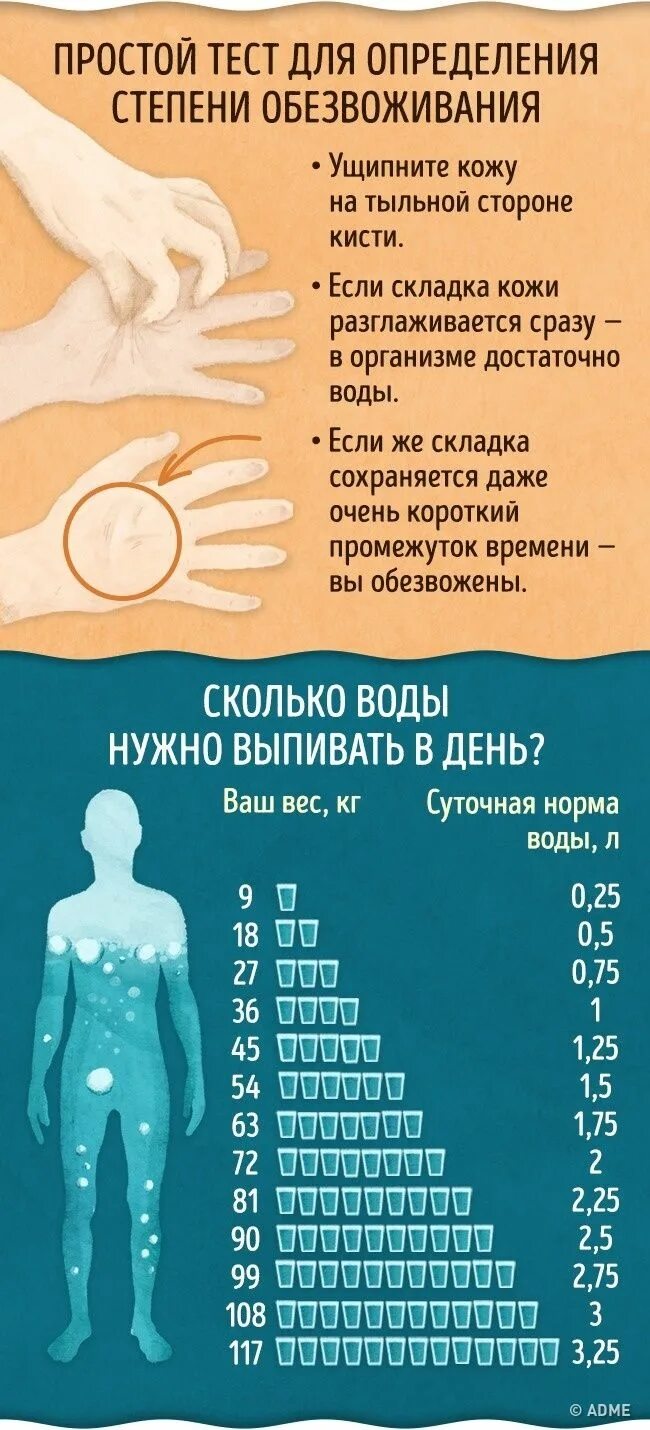 Признаки обезвоживания у взрослого. Признаки обезвоживания организма. Обезвоживания организма у взрослого. Дегидратация организма. Классификация степени обезвоживания.