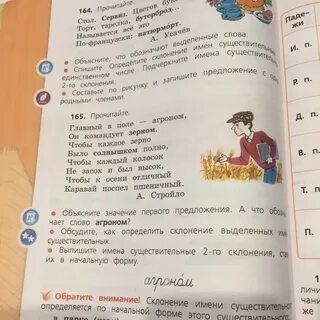 Зернышко разбор по составу