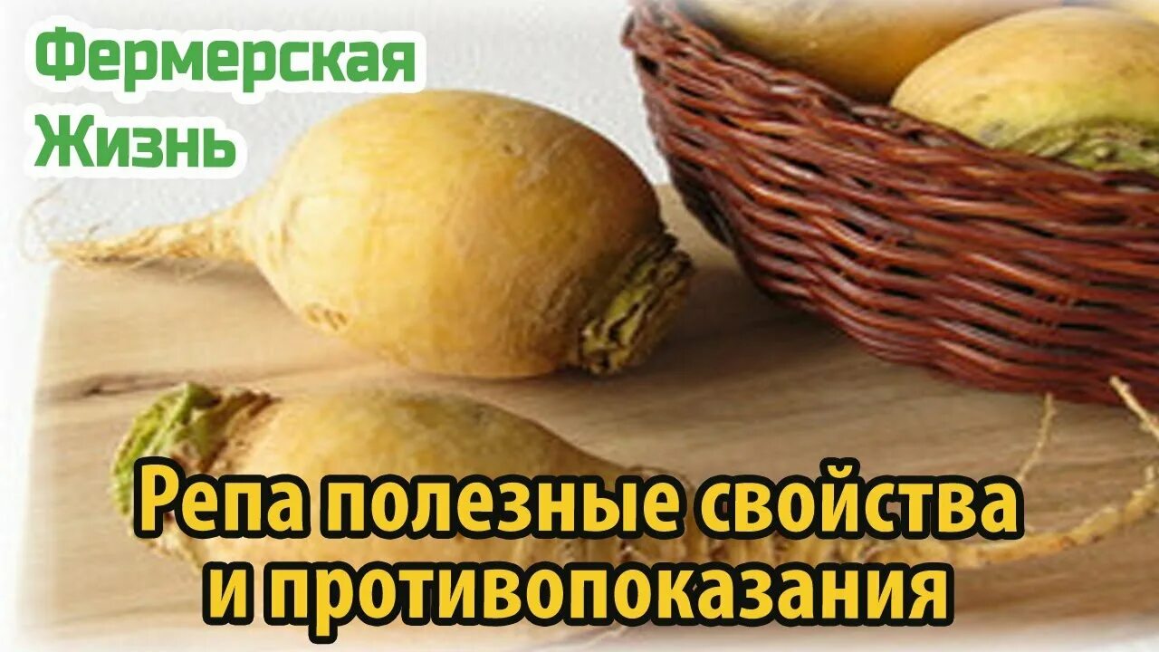 Интересные овощи. Репа полезность. Самые полезные овощи. Чем полезна репа. Чем полезна репа для организма.