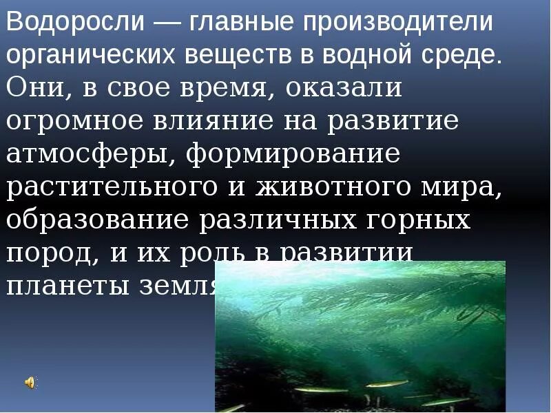 Подготовить сообщение водоросли. Сообщение о водорослях. Презентация на тему водоросли. Сообщение на тему водоросли. Доклад про водоросли.