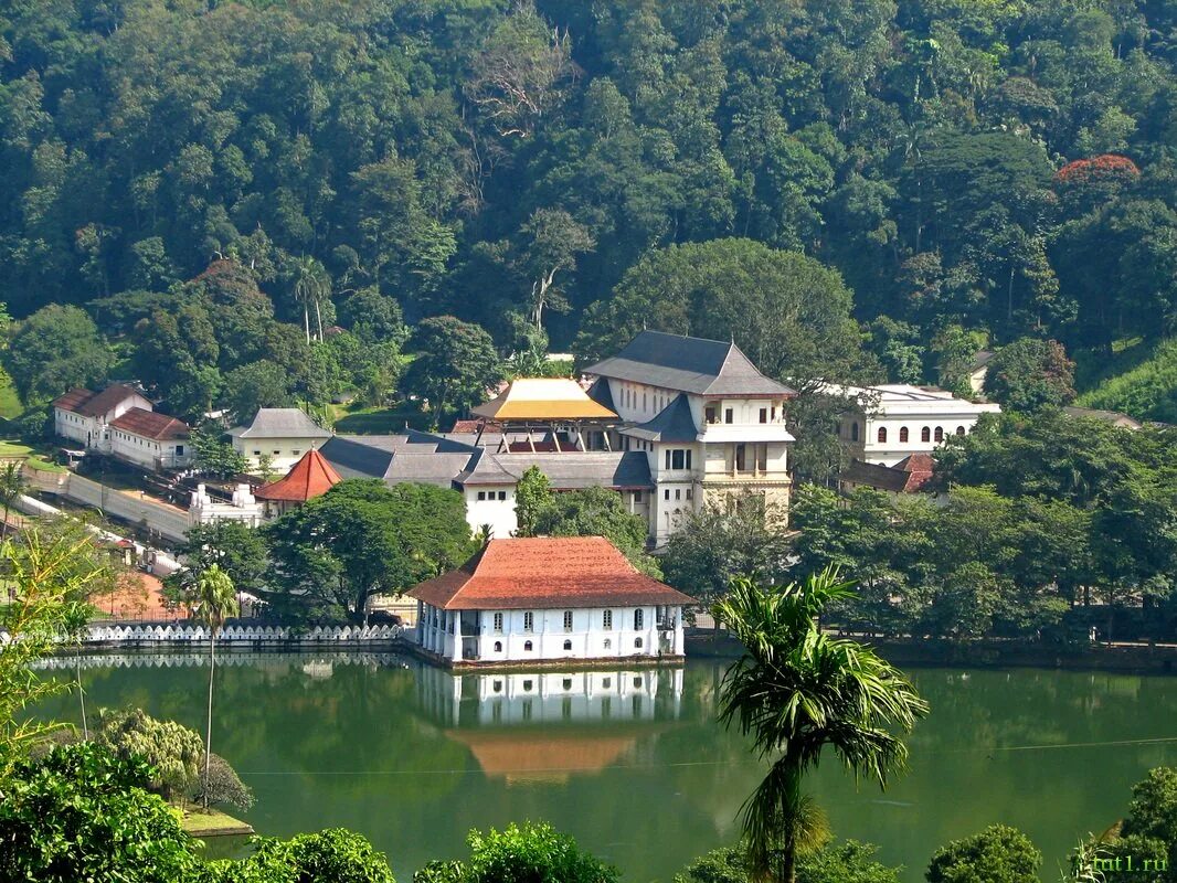 Г канди. Канди Шри Ланка. Храм Канди Шри Ланка. Озеро Канди Шри Ланка. Древний город Канди Шри Ланка.