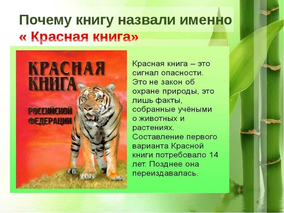 Красная книга о том. Проект красная книга. Красная книга России. Проект по красной книге. Проект на тему красная книга.