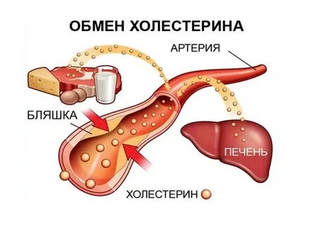 Какой допустимый холестерин