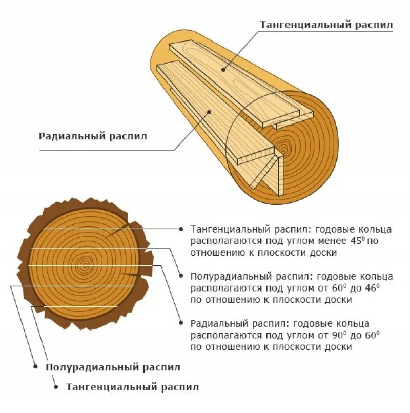 Направления древесины