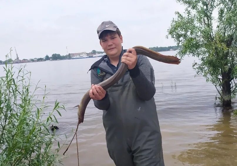 Рыбак выловил на Ахтубе в Астраханской области 21-килограммового монстра - KP.RU