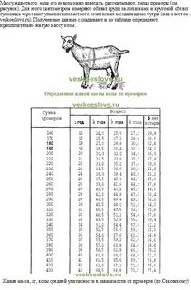 Определить вес без