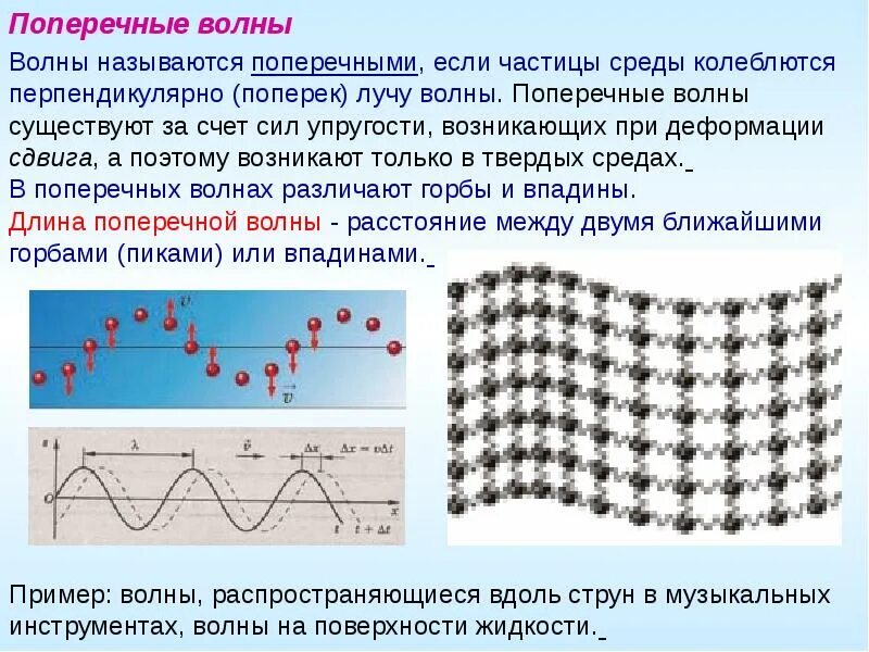 Поперечные механические волны. Поперечная волна возникает при деформации. Поперечный. Поперечные волны это волны. Волны изгиба