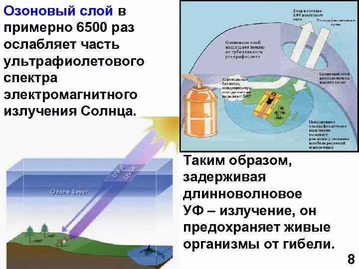 Озоновый слой атмосферы защищает от излучения. Влияние озонового слоя на живые организмы. Озоновый слой и УФ-излучение. Озоновый слой защищает землю от.