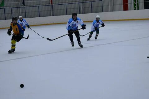 Золотая шайба 2007 2008