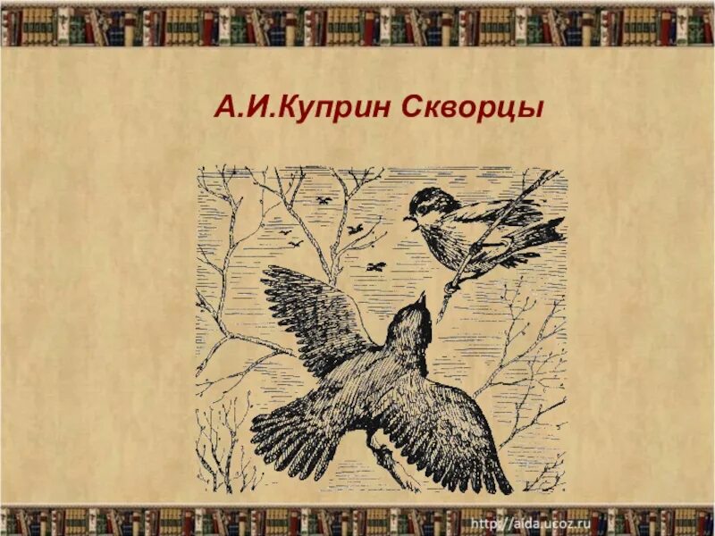 Читательский дневник 4 класса куприн. Иллюстрация к рассказу Куприна скворцы. Куприн скворцы.