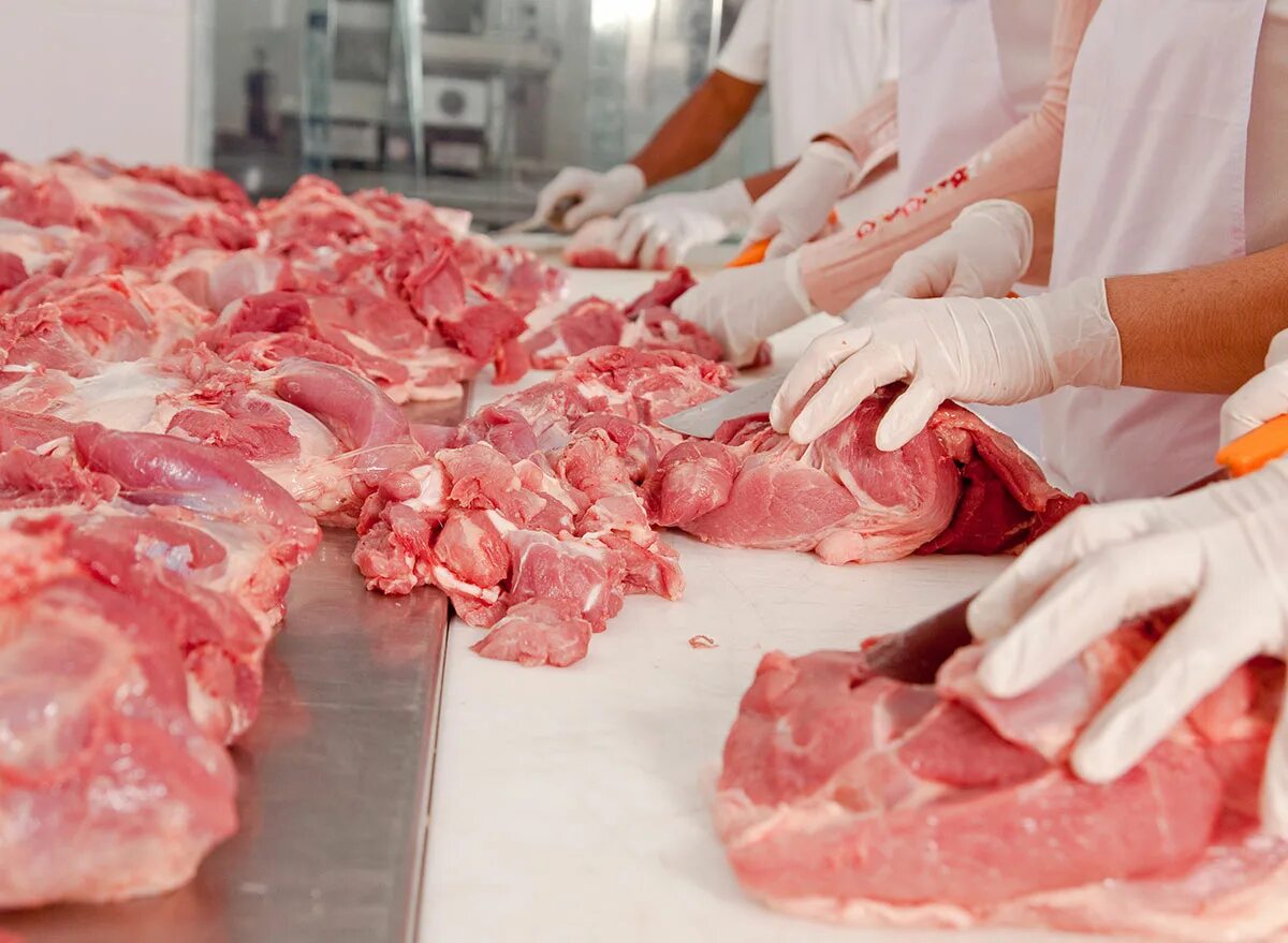 Современные технологии мясо. Ветеринарно-санитарная экспертиза мяса и мясопродуктов. Ветеринарно санитарная экспертиза свинины.