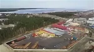 Хвойная заводы. Фок хвойная. Клипарт сосны трава. Хим завод буй костромская область. Нпф сосны димитровград.