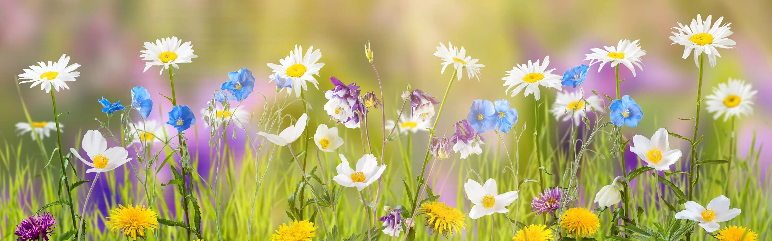 Лету contact. Природа. Обложка для одноклассников море. Фотосессия на природе летом. Статусы про лето красивые.