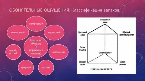Система запахов