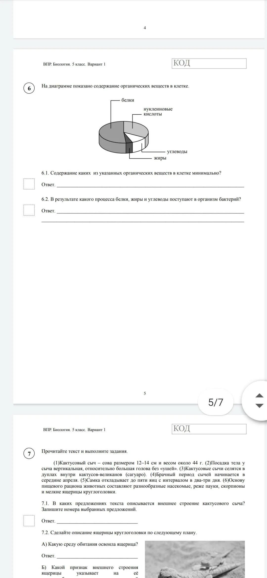 Кактусовый сыч впр 5 класс. Биология 5 класса ВПР вариант би50101. ВПР биология 5 вариант 1 ответы. ВПР биология 5 класс вариант 1 с ответами. ВПР по биологии 5 класс 2020.