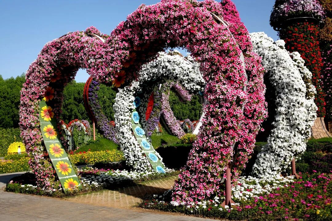 растения дании. королевский сад дании. знаменитый парк цветов в копенгагене. знаменитый парк цветов в копенгагене. знаменитый парк цветов в копенгагене.