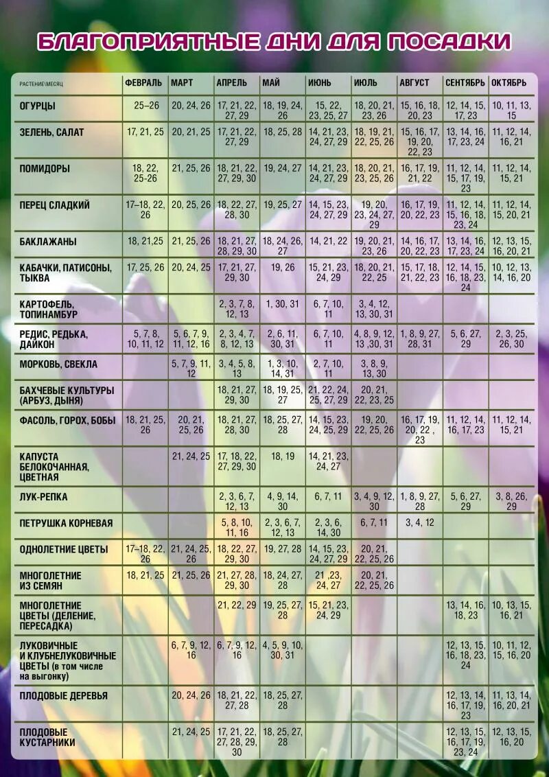 Календарь садовода россия. Посадочный календарь. Лунный календарь посадочный календарь. Лунный посевной календарь садовода. Посадочные дни в феврале.