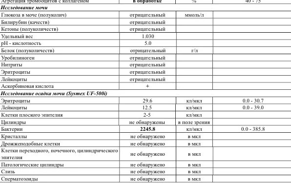 Бактерии в моче после лечения. Общий анализ мочи бактерий 4 плюс. Анализ мочи бактерии в препарате 1. Анализ осадка мочи бактерии. Общий анализ мочи бактерии 1+.