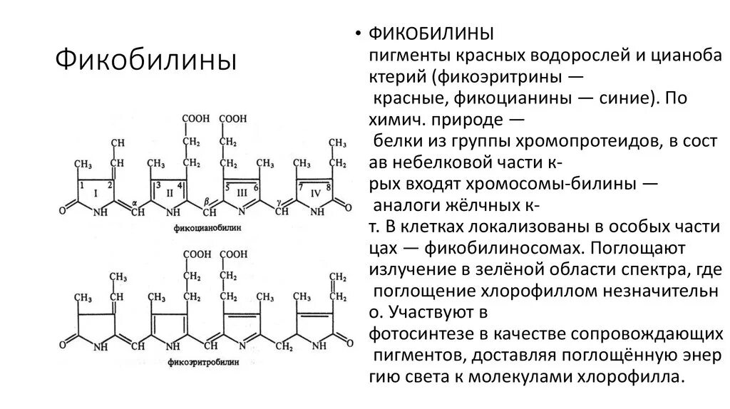 Фикобилин структурная формула. Химическое строение фикобилинов. Фикобилины строение. Фикобилины физико-химические свойства. Фикоцианин это