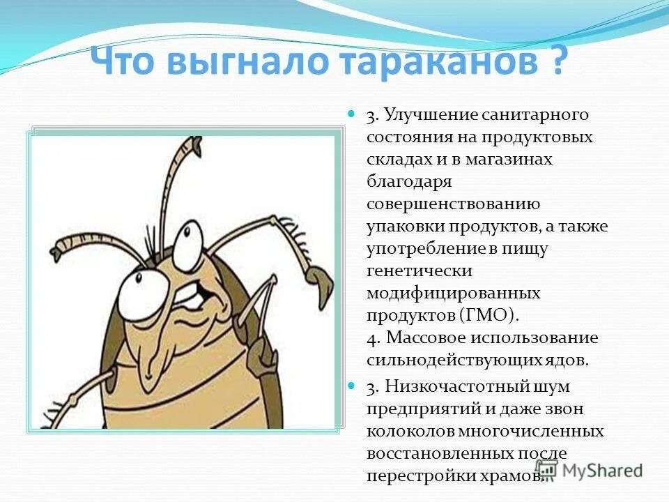 Песня мои будни таракана проповедь. Тараканы уходят. Интересные факты о тараканах. Куда подевались тараканы.