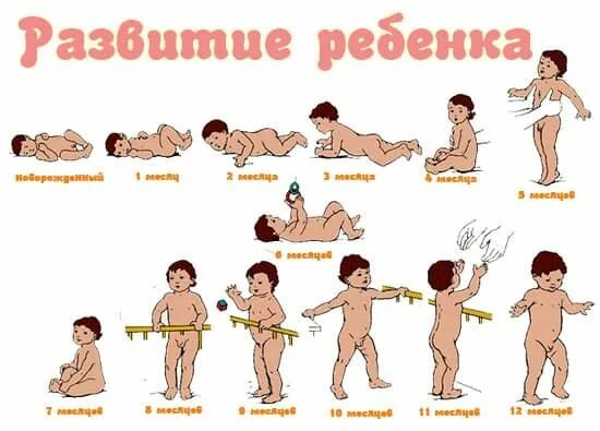 Таблица развития новорожденного по месяцам для девочек Развитие ребенка до года по месяцам. Календарь развития, таблица, видео