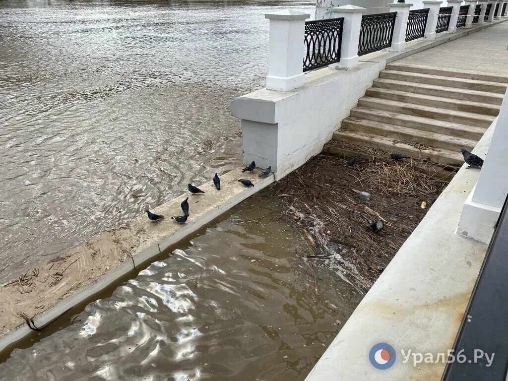 Паводок. Вода наводнение. Наводнение в Орске. Наводнение на Урале.