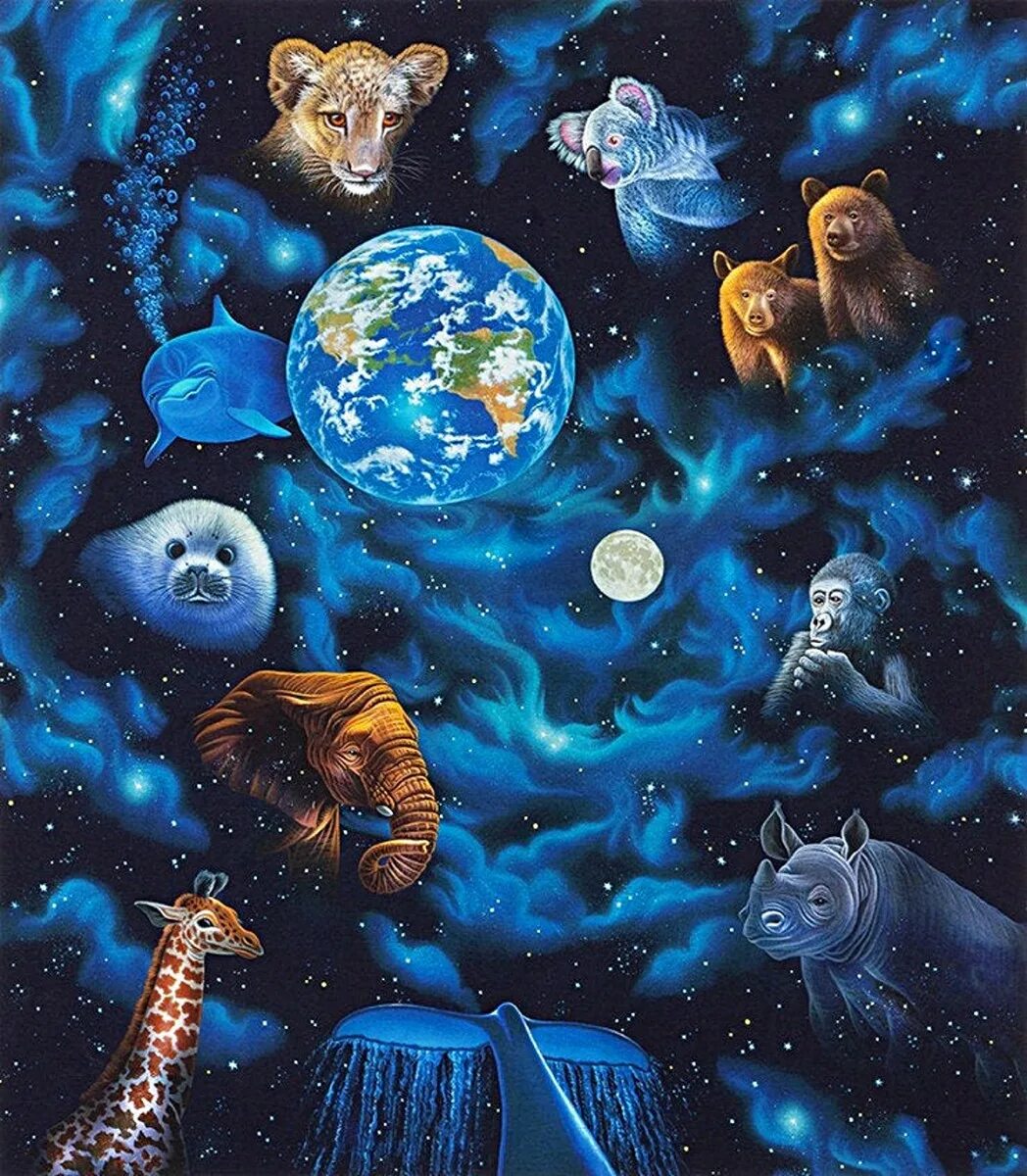 Space animals