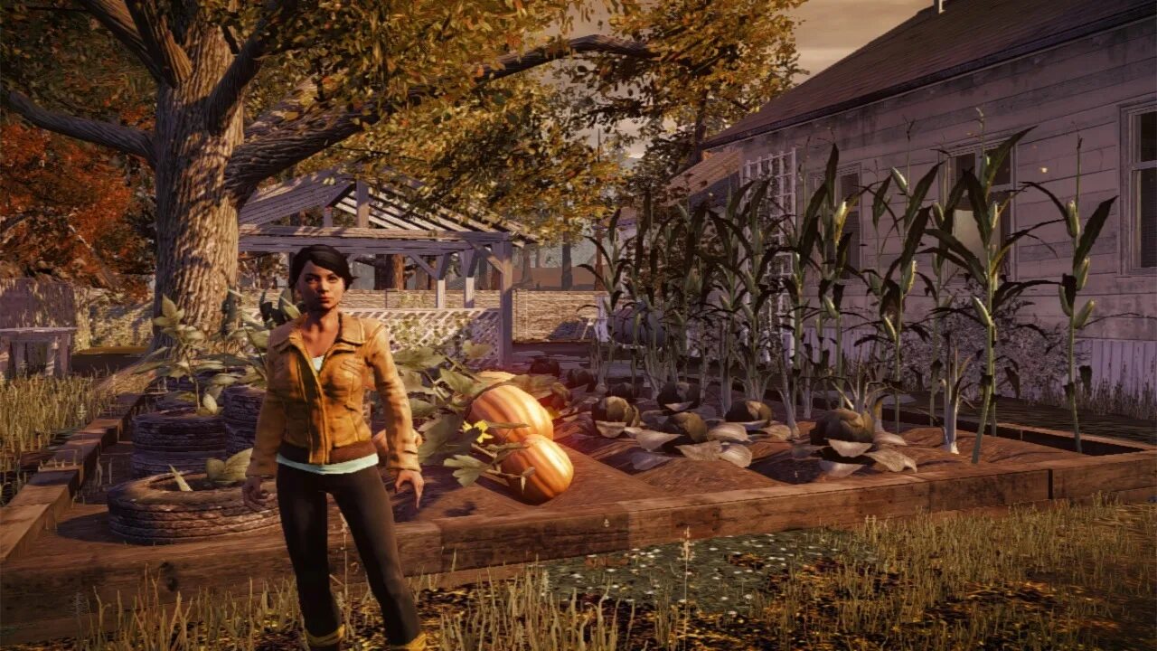 Стейт оф Дикей 1. State of Decay 1. Игра State of Decay 3. State of Decay Xbox 360.