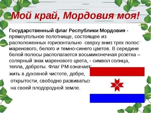 Проект мордовия на страницах российской прессы Проект мордовия