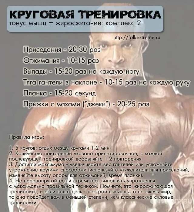 Упражнения жиросжигающей тренировка. Круговые тренировки для сжигания жира. упражнения для сжигания жира для мужчин. круговая тренировка для жиросжигания. план тренировок для сжигания жира.