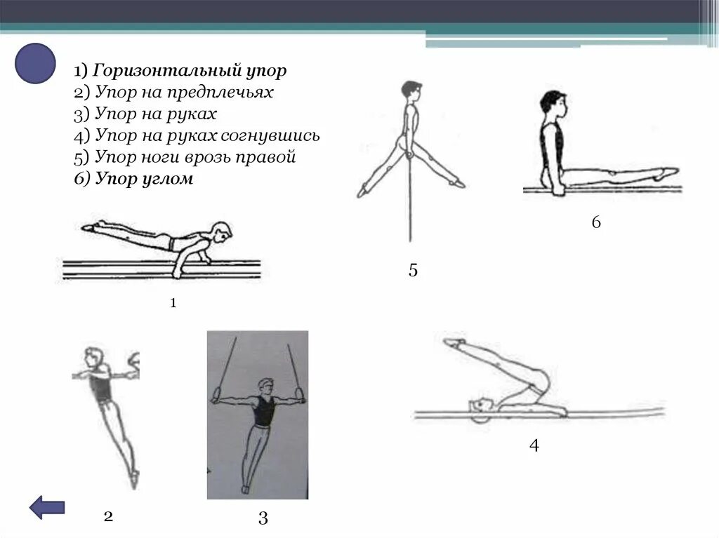 Типы упоров. Упоры на снарядах в гимнастике. Гимнастические снаряды для упражнения в висах и упорах. Висы и упоры в гимнастике. Разновидности висов и упоров.