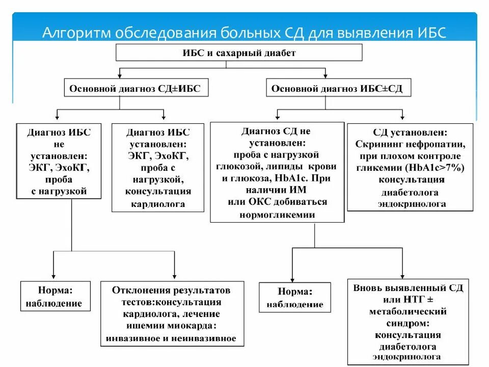 Алгоритмы обследования больных. Сахарный диабет 1 типа план обследования. Схема лечения сахарного диабета 1 типа. Сахарный диабет и ИБС. Алгоритм диагностики сахарного диабета 1 типа.