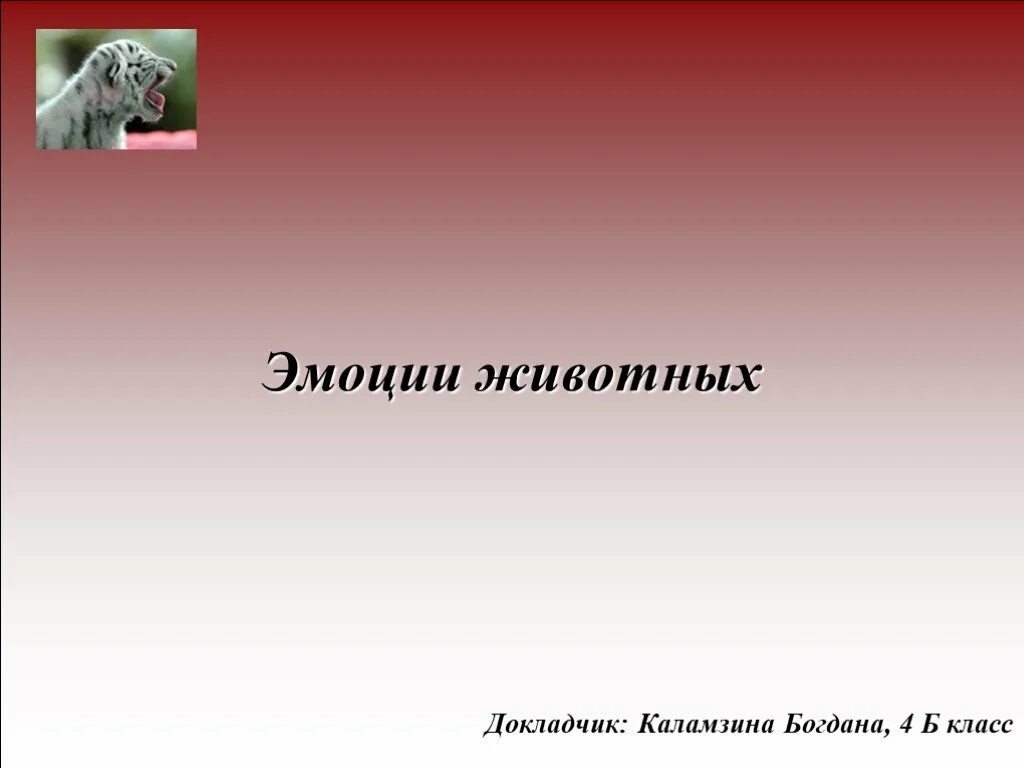Внутренние чувства животных. Эмоции животных доклад. проект на тему эмоции животных в рисунках и фотографиях. презентация эмоции животных. эмоции животных в рисунках и фотографиях 4 класс проект.