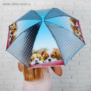 Сонник зонт