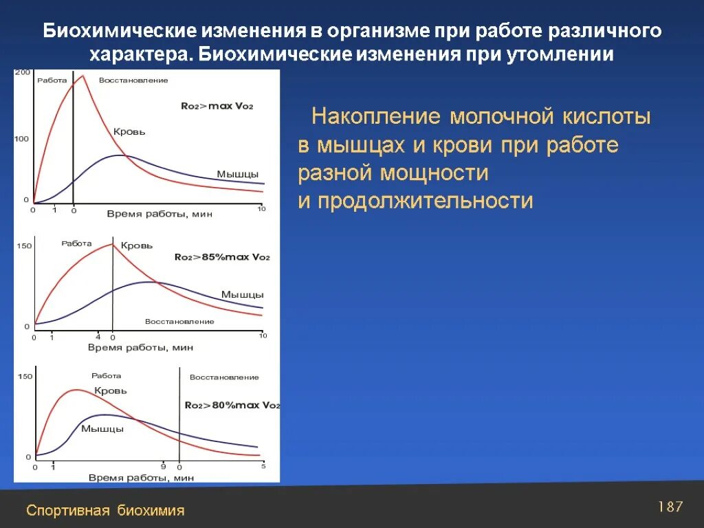 Изменения в организме после 40. Биохимические изменения в организме. Биохимические изменения при мышечной работе. Биохимические изменения при утомлении. Биохимические изменения в организме при мышечной деятельности.