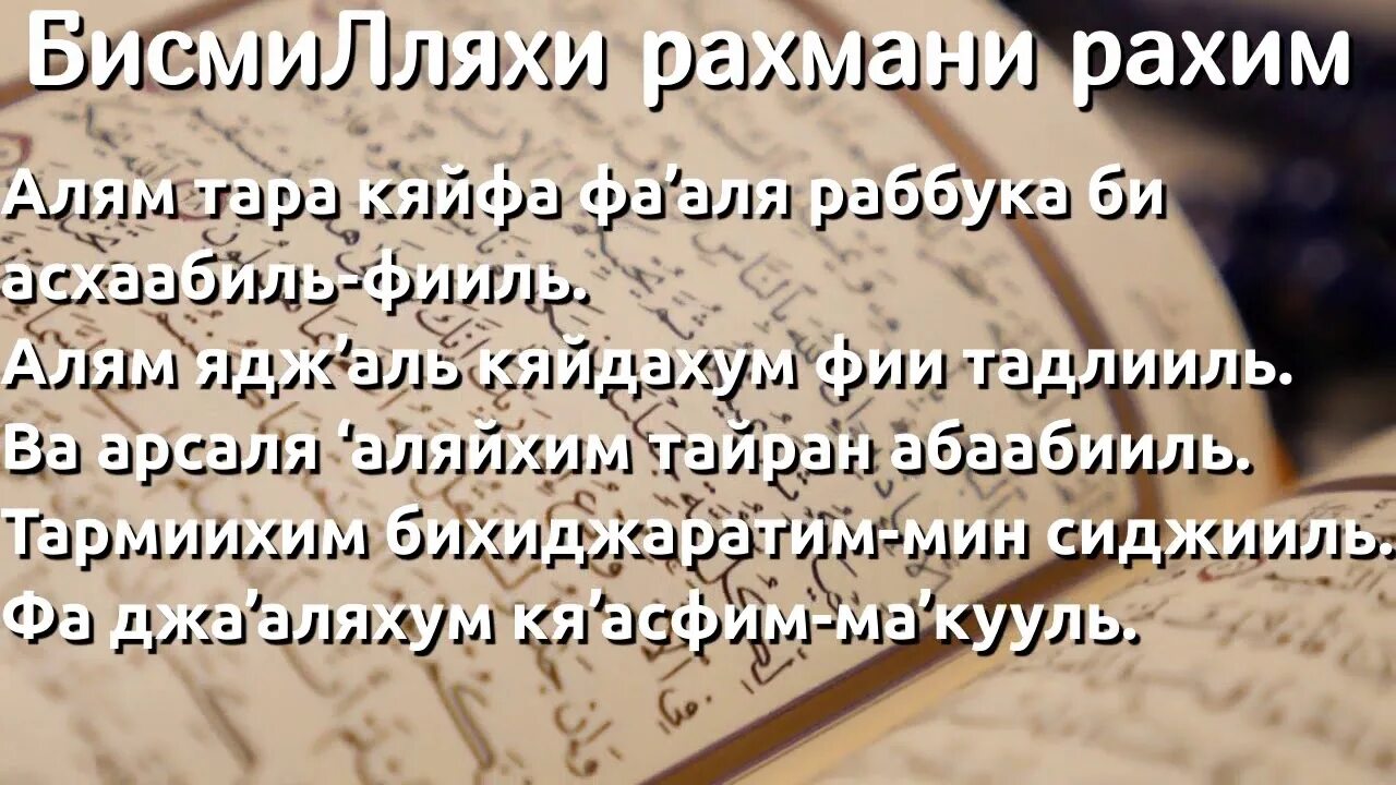 Как переводится бисмилляхи рахим. 105 Сура Корана. Сура филь. Сура Аль Фил. Сура Аль филь транскрипция.