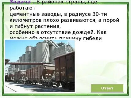 Почему растений растущих рядом с цементным заводом