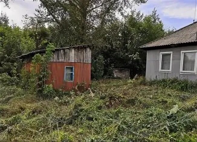 Кашино Алтайский край. Село Кашино Алейский район. Село Кашино Алтайский край. Проживает она Алейский район село Кашино. Погода кашино алтайский край