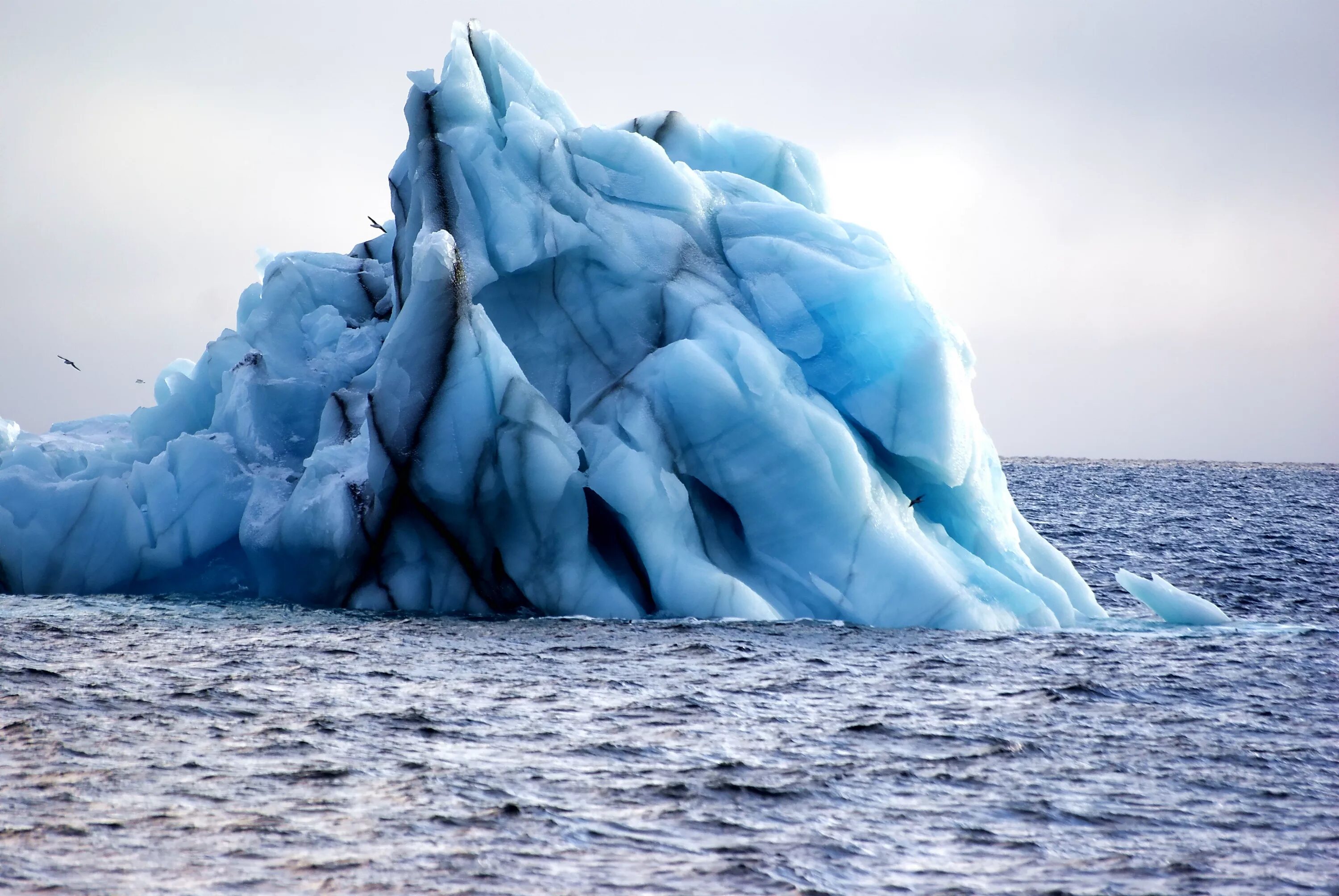 Море Рисер-Ларсена. Море Сомова в Антарктиде. Море Космонавтов Антарктида. Моря: Амундсена, Беллинсгаузена, Росса, Уэдделла.. Море росса какой океан