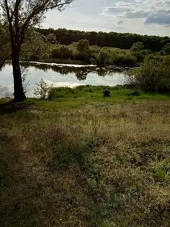 Ступино рамонский воронежская