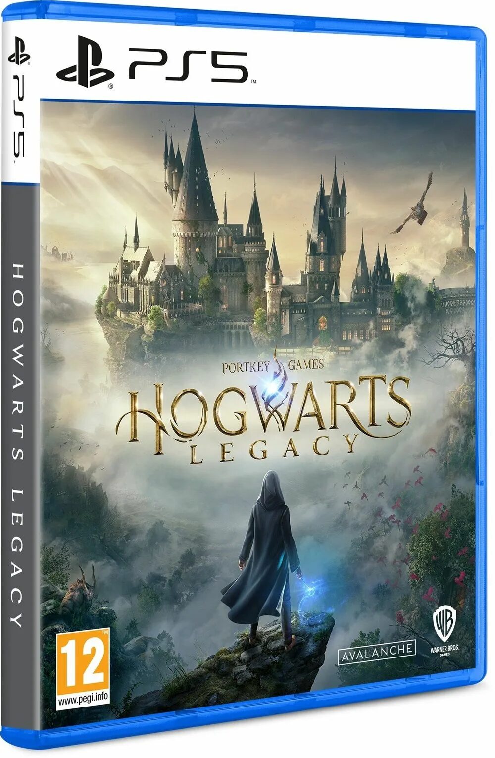 Hogwarts Legacy ps5 диск. Игра Hogwarts Legacy. Хогвартс игра на пс5. Hogwarts Legacy ps4 версия. Хогвартс xbox купить