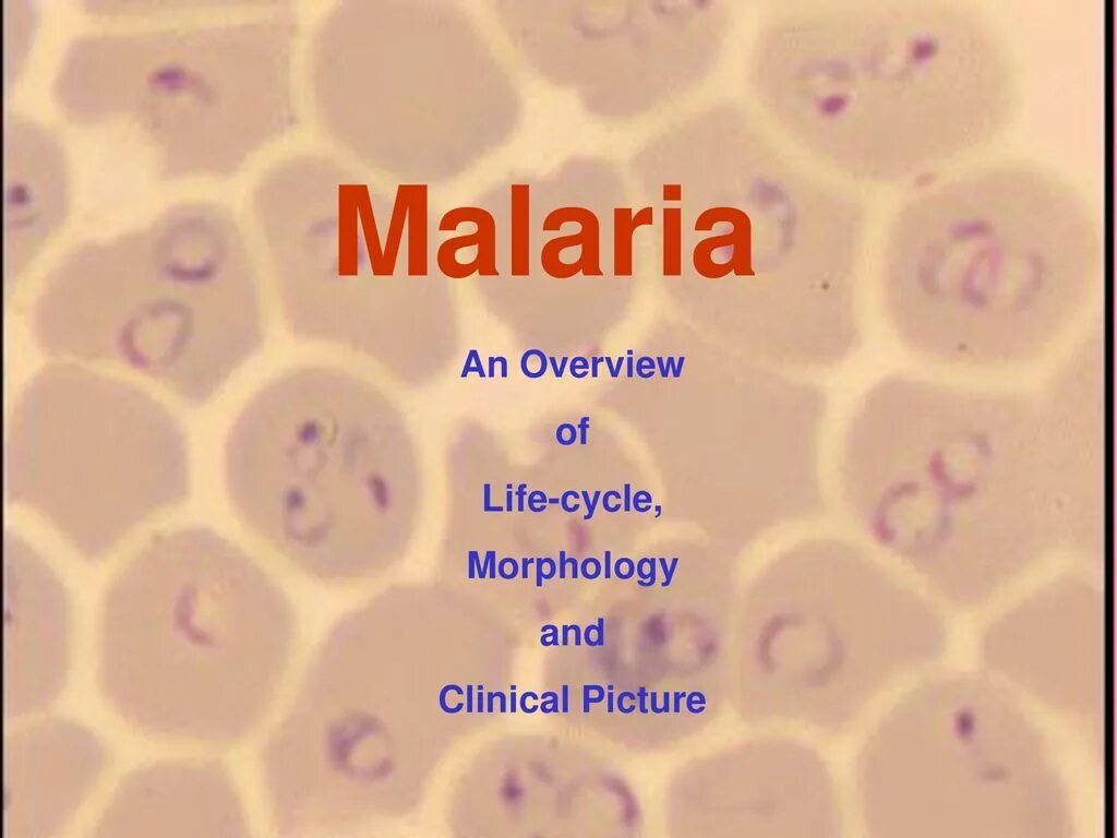 Malaria группа. Malaria логотип game. 'Ppt' malaria presentations. Plasmodium knowlesi.