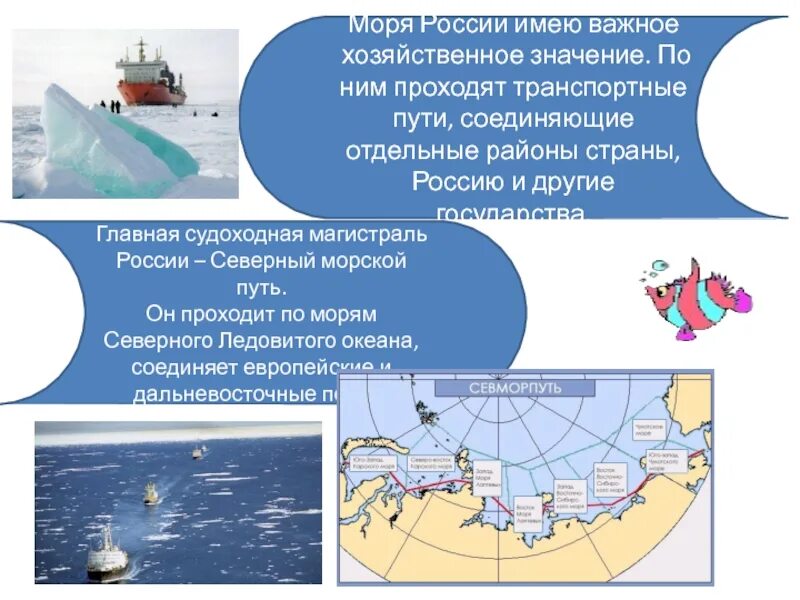 Моря имеющие промысловое значение. Моря россии презентация. транспортные ресурсы морей россии. хозяйственное значение морей. море транспортный путь.