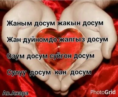 Бир досум