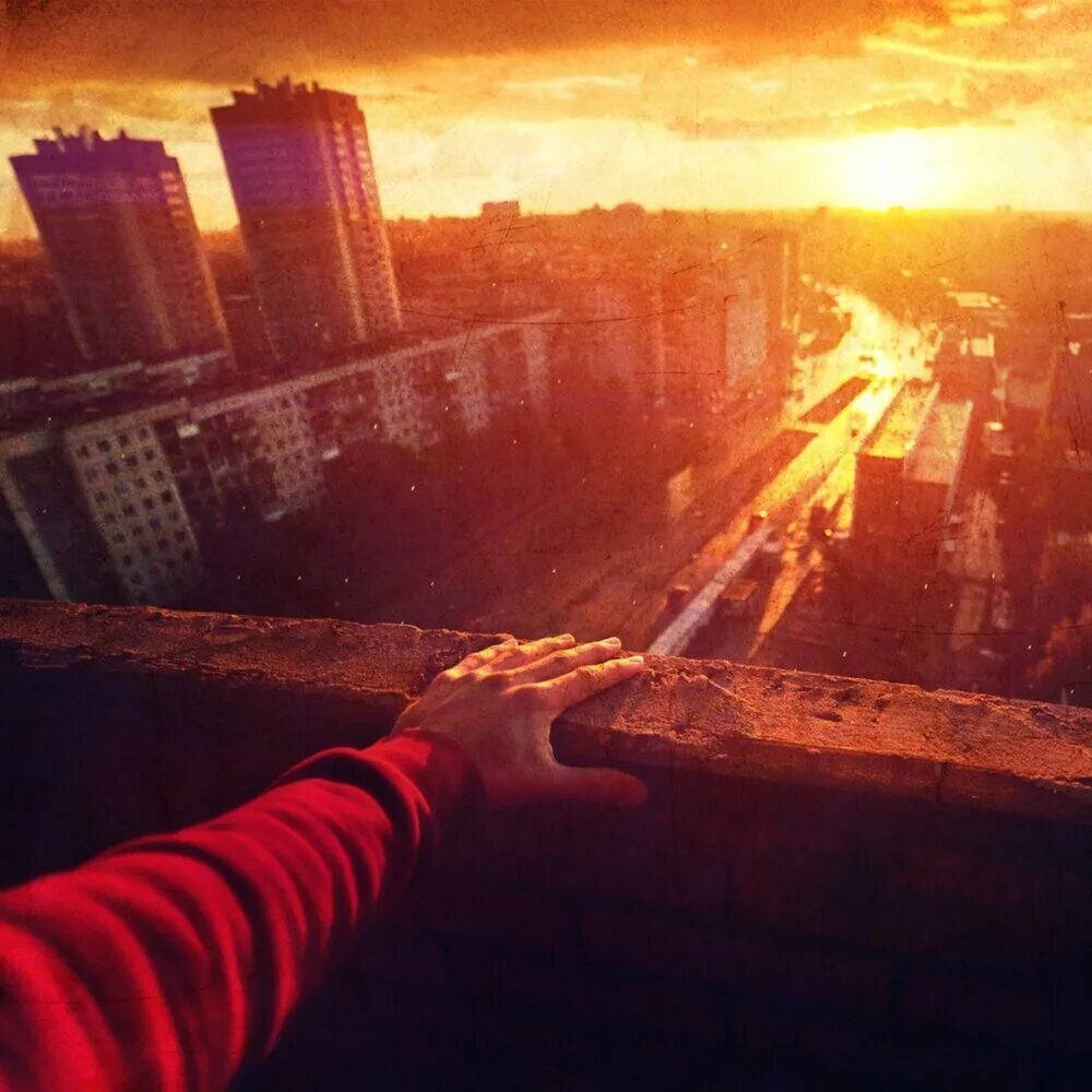 Птица над крышами. Над крышами города песня. Крыша дома твоего текст песни слова. Над крышами города песня. Над крышами города песня.